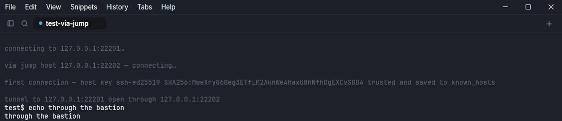 Tab log showing a connection through a jump host and an open tunnel